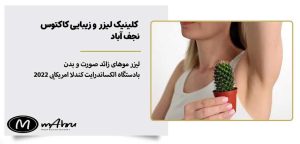 خدمات لیزر موی زائد برای بانوان و آقایان در کلینیک کاکتوی نجف‌آباد